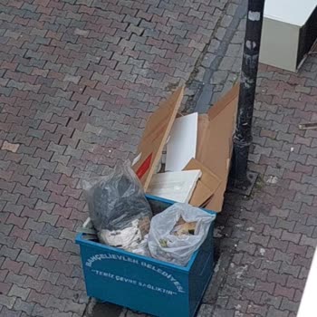 Bahçelievler Belediyesi Ve Sorumsuzluğu, Olmayan Temizlik Anlayışı