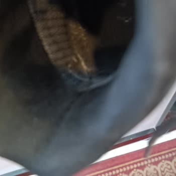 Lumberjack FLO Mağazasında Aldığım Ayakkabı