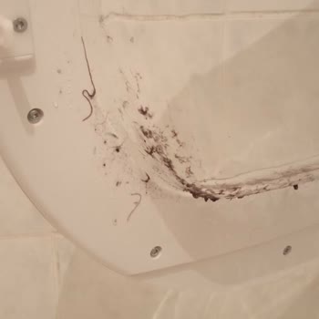 Hoover Kurutmayan Kurutma Makinesi