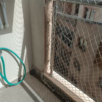 Armut Yorum Değiştirme Seçeneği