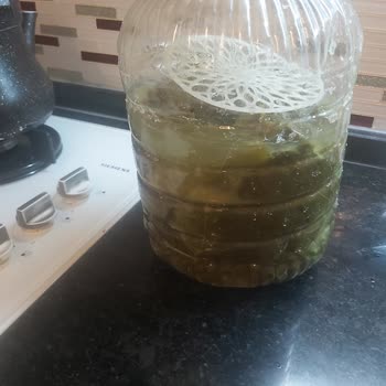 Yasmin Doğal (ege_salamur_) Hayal Kırıklığına Uğratan Yaprak Satışı