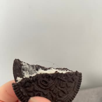 Mondelez International Oreo Bisküvinin İçinden Kıl Çıktı
