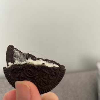Mondelez International Oreo Bisküvinin İçinden Kıl Çıktı