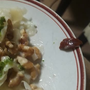 Ağam Güllaç İçinden Çıkan Ceviz Kabuğu