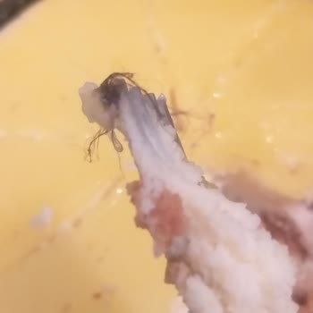 BİM'den Alınan Cheesecake Hayal Kırıklığı Yarattı