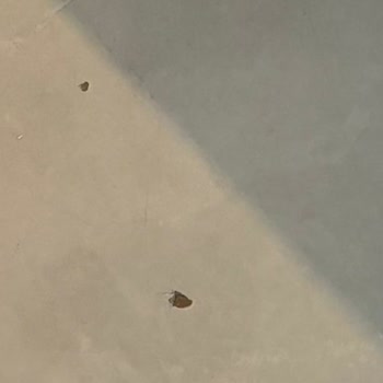 Bozyel Temizlik Hizmetleri & Halı Yıkama Profesyonel Temizlik Hizmetinde Beklenenin Altında Kalındı