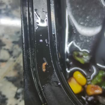 Tavuk Dünyası Salatadan Kurt Çıktı