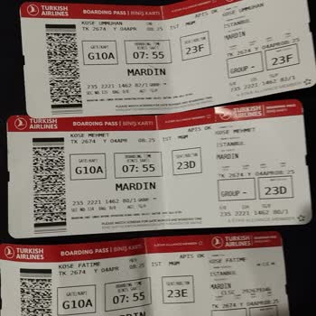 Türk Hava Yolları İşgüzarlığı