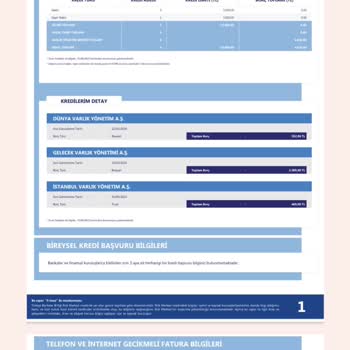 İstanbul Varlık Yönetim Yasal Hakların İhlali Ve Mağduriyet Şikayeti