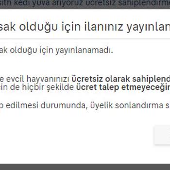 Sahibinden.com Sitesinde Moderatör İnadından İlan Yayınlayamama Sorunu
