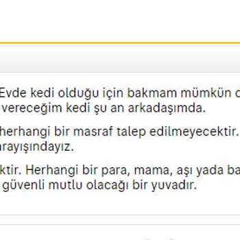 Sahibinden.com Sitesinde Moderatör İnadından İlan Yayınlayamama Sorunu