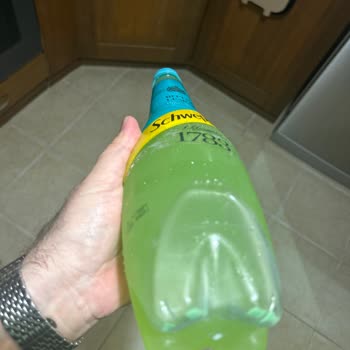 Schweppes İçerisinde Yeşil Küf Benzeri Tortular Ve Parçalar