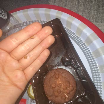 Milka Kurabiyeden Çıkan Sert Cisim