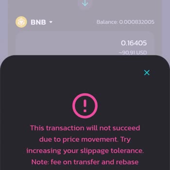Kaybolan 91 Dolarlık W Coin İşlemi