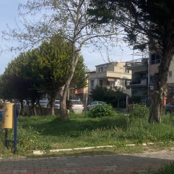 Buca Belediyesi Park Ve Bahçe İşleri Müdürlüğünün Sorumsuzluğu