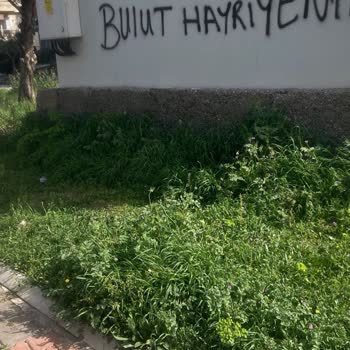 Buca Belediyesi Park Ve Bahçe İşleri Müdürlüğünün Sorumsuzluğu