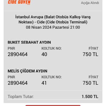 Obilet Uygulamasından Bir Bilet Aldım. Ve Açığa Dönüştürdüm. Ama Ku
