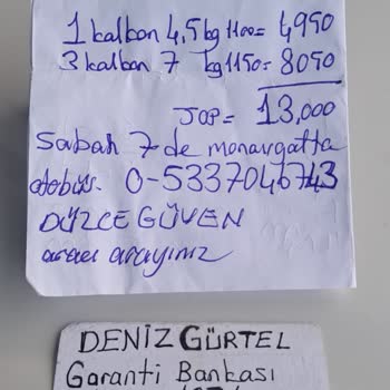 Düzce Güven Seyahat'e Verilmiş Olan Balıklar
