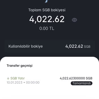 Paribu'nun Sgb Tokene İşlem Yaptırmaması
