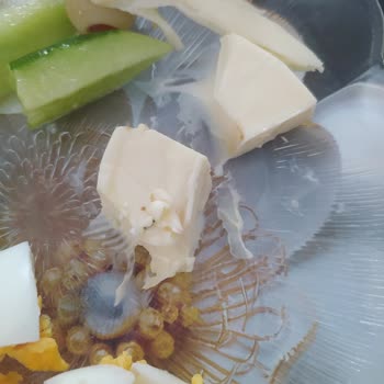 Teksüt Peynirden Çıkan İp