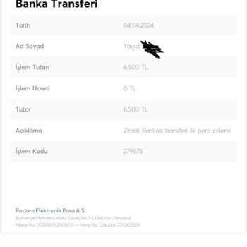 Papara Para Transferi Yanlış Yapılmış!