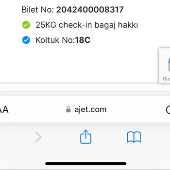 Ajet Bana Ücretli Koltuk Seçimi Yaptırıp Kendi İstediği Koltuğu Verdi
