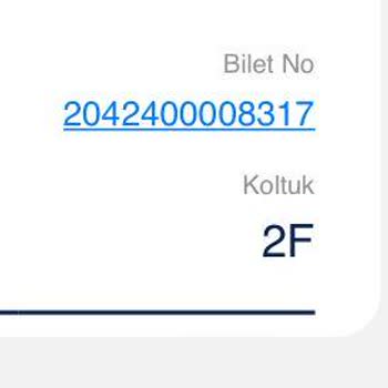 Ajet Bana Ücretli Koltuk Seçimi Yaptırıp Kendi İstediği Koltuğu Verdi