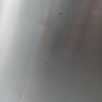 Profilo Buzdolabı Paslanma Sorunu