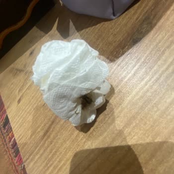 Enuygun'dan Kiraladığım Otelde Kabus Gibi Hamam Böcekleri