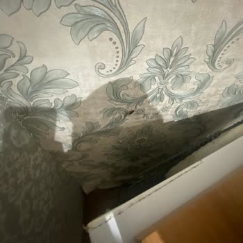 Enuygun'dan Kiraladığım Otelde Kabus Gibi Hamam Böcekleri