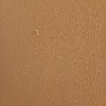 Filli Boya Özelliğini Kaybetmiş Boya