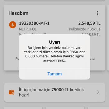 ING Müşteri Temsilcisine Ulaşamıyorum