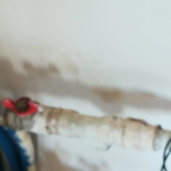 Temizlik Evi (temizlikevi.com.tr) Ücreti Ödenen Temizlik Şirketinin Evi Temizlemeden Gitmesi