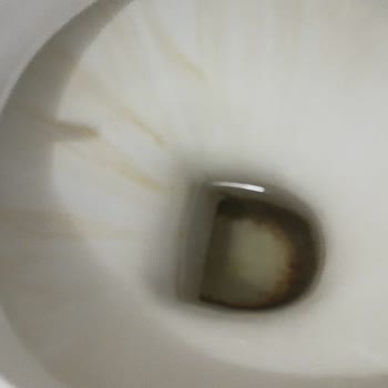 Temizlik Evi (temizlikevi.com.tr) Ücreti Ödenen Temizlik Şirketinin Evi Temizlemeden Gitmesi