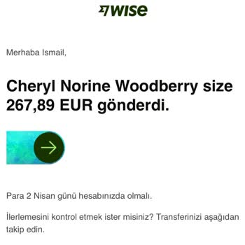 Wise Para Transferinde Da Çok Pahalı