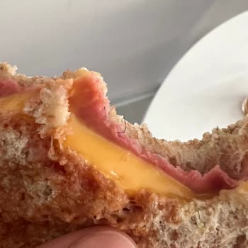 Namet Salamdan Kıl Çıktı!