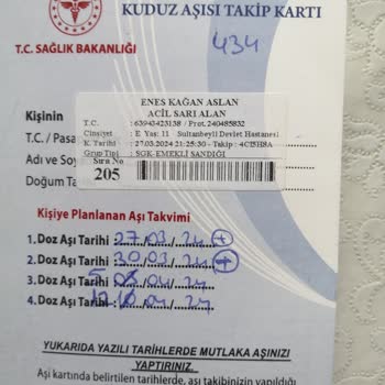 Pendik Belediyesi Sokak Köpeklerinin Toplatılıp Hayvan Barınaklarına Götürülmesi