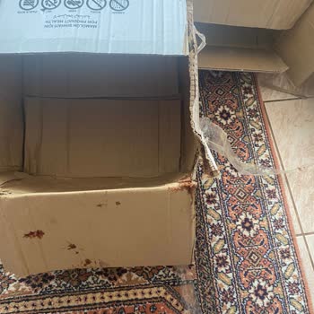 Aras Kargo Rezillikkkk Verdiğim Paraya Yazık