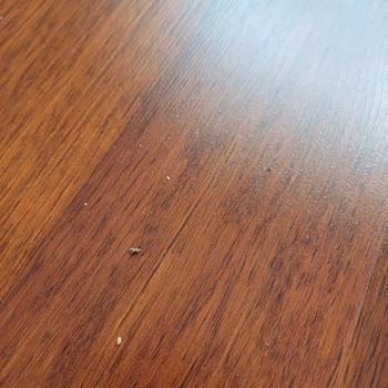 Beko Robot Süpürge Pişmanlığı