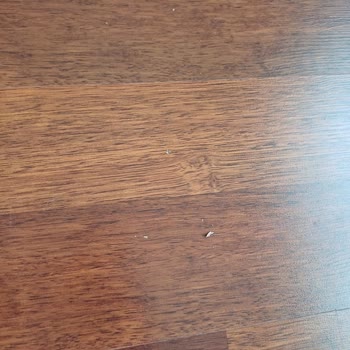 Beko Robot Süpürge Pişmanlığı