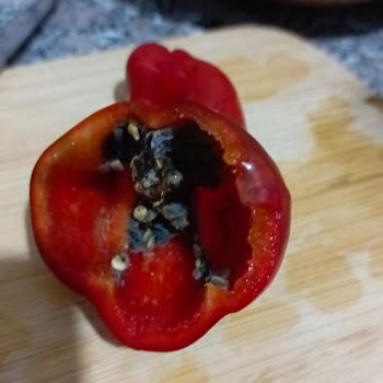 Arçelik Buzdolabı Para İade Etmiyorlar