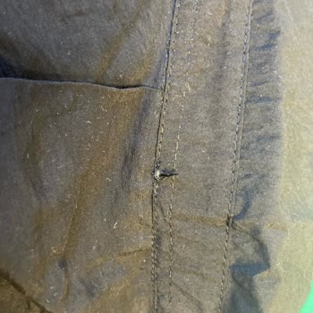 Gaus Adlı Instagram Hesabı Olan Butik