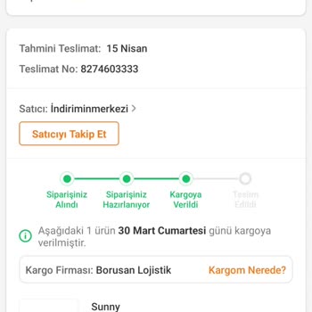 Borusan Lojistik Trendyol Ve Lojistik Sürecinde Yaşanan Gecikme Sorunu