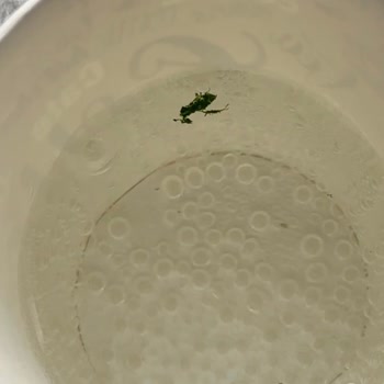 Uludağ İçecek Uludağ Maden Suyunun İçinden Bir Şey Çıktı