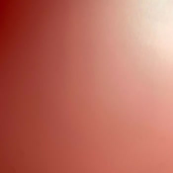 Citroen Eskişehir Otomatik Araç Bakım Şikayeti