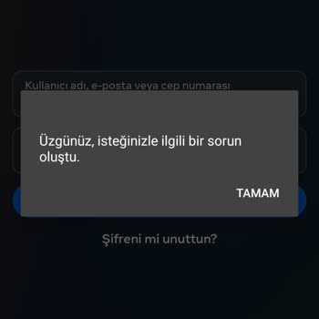 Instagram Hesaba Girememe