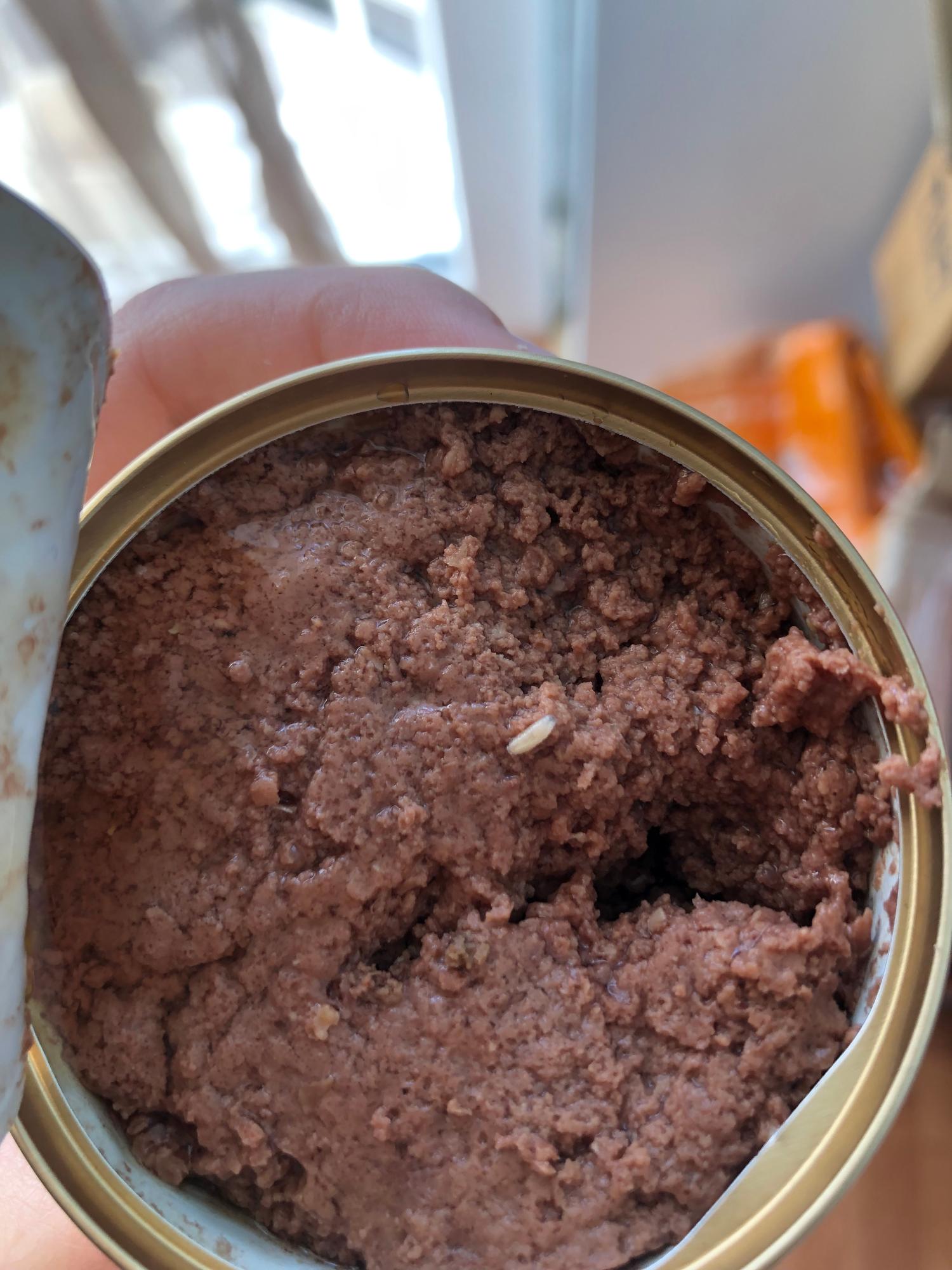 Purina Gourmet Gold Canned Food Infested with Worms Xolvie