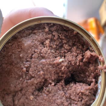 Purina Gourmet Gold Canned Food Infested with Worms!