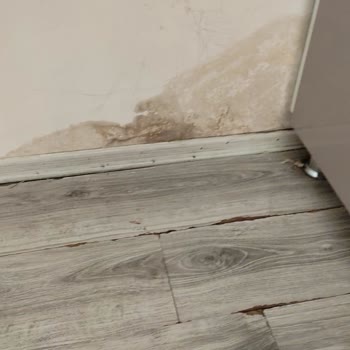 Türkiye Sigorta Bahane Uydurup Teminatta Yazmasına Rağmen Ödemiyor