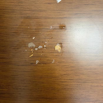 Türkiye Sigorta Bahane Uydurup Teminatta Yazmasına Rağmen Ödemiyor